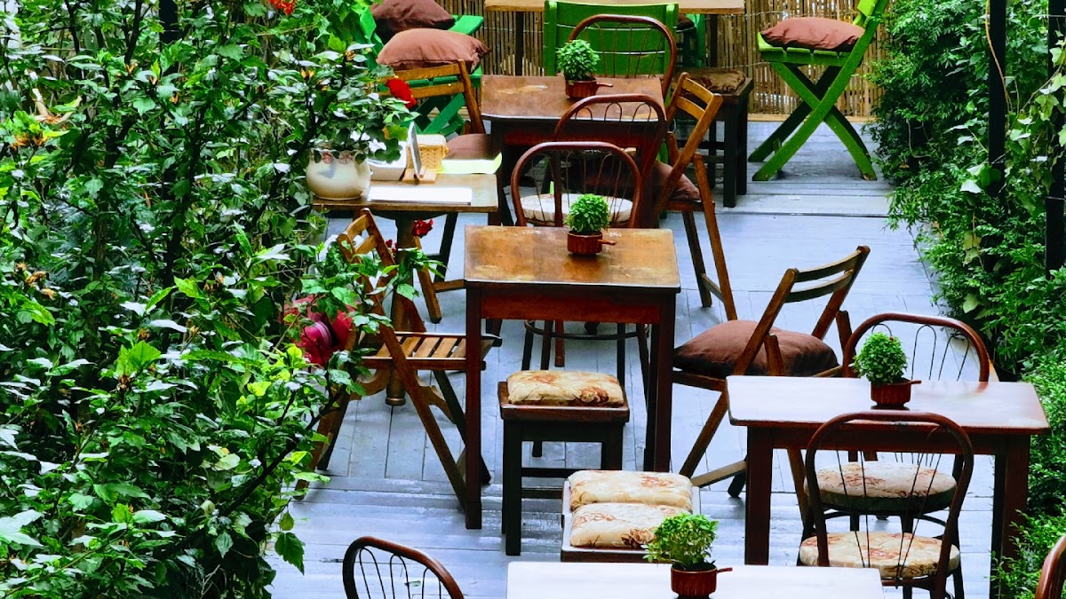 Fotografie cu Doamna T