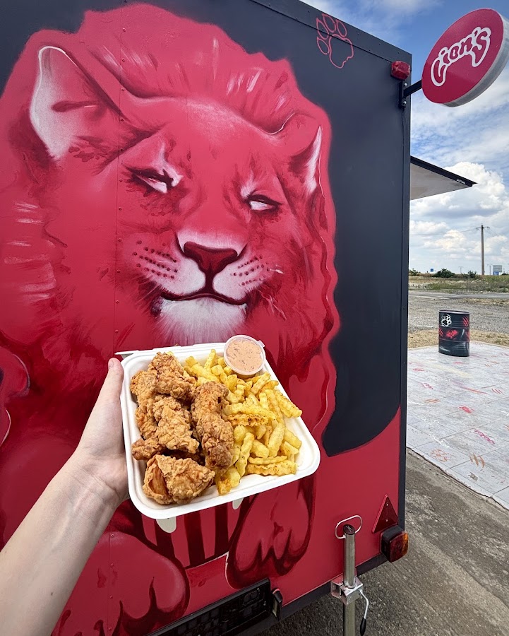 Foto di Lion's Fried Chicken