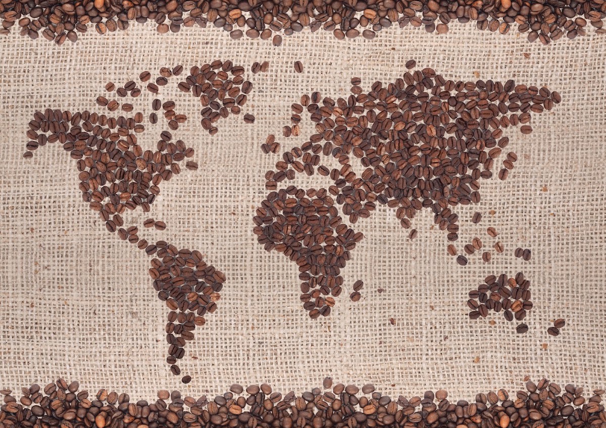 Foto di UnitedBeans Caffè di specialità appena tostato