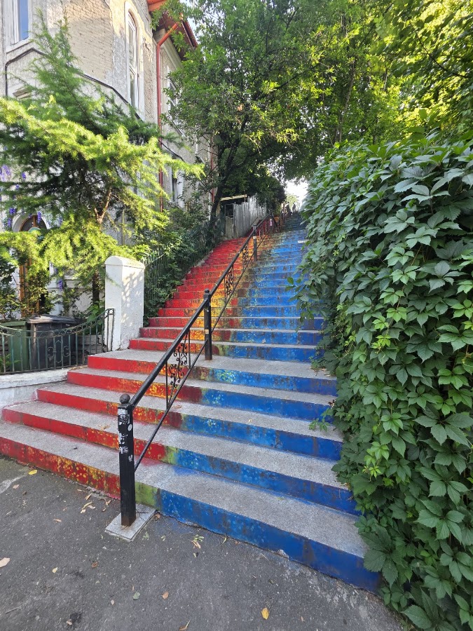 Foto von Ceainăria Infinitea
