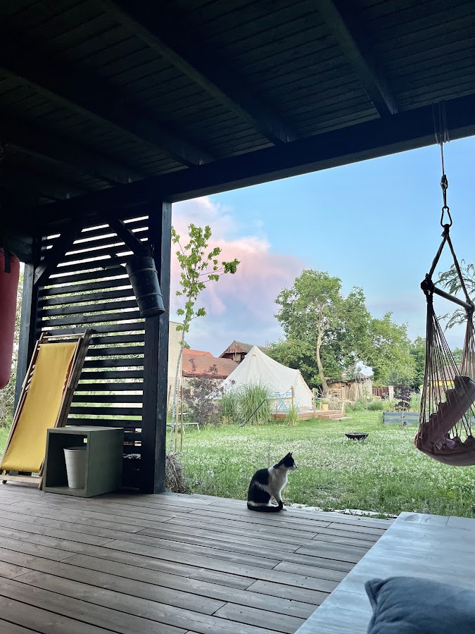 Photo de Le Paradis Garden