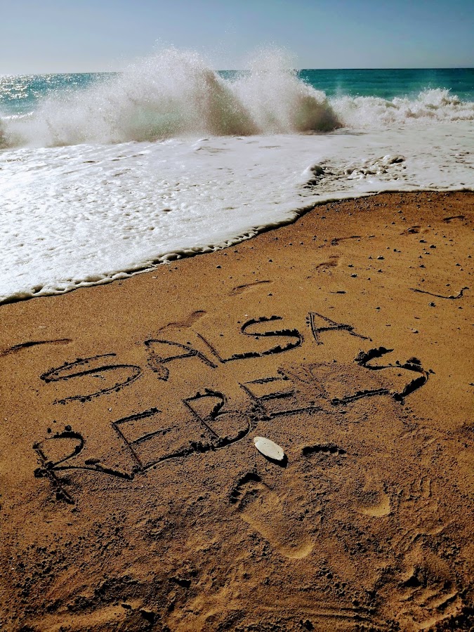 Fotografie de Salsa Rebels Timișoara - cursuri de dans pentru adulti si studenti