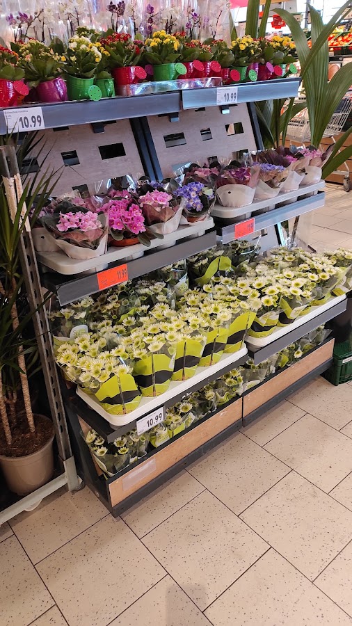 Photo of Kaufland