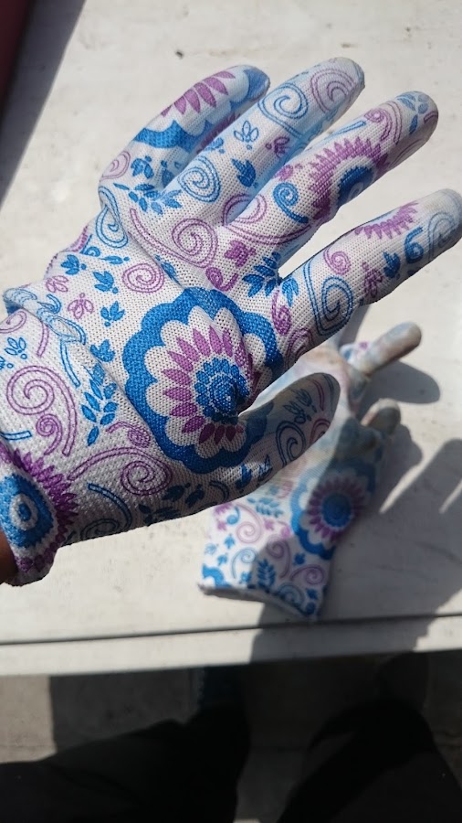 Foto von Rebrișoreana
