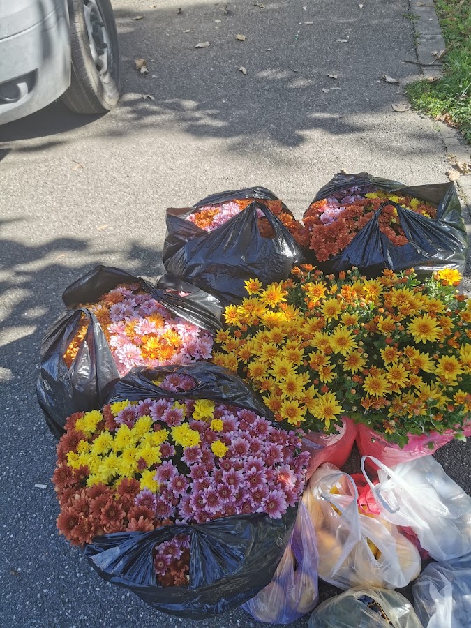 Foto di Piața agroalimentară de la stadion