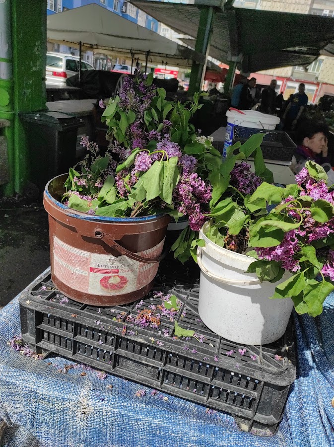 Foto von Piața Agroalimentara DACIA