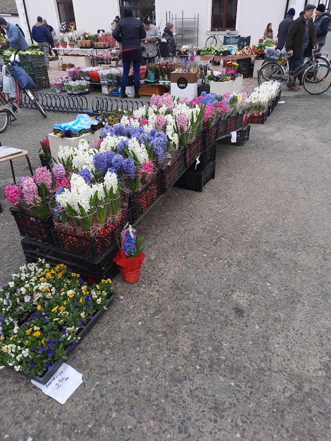 Foto von Piața Agroalimentară Jimbolia
