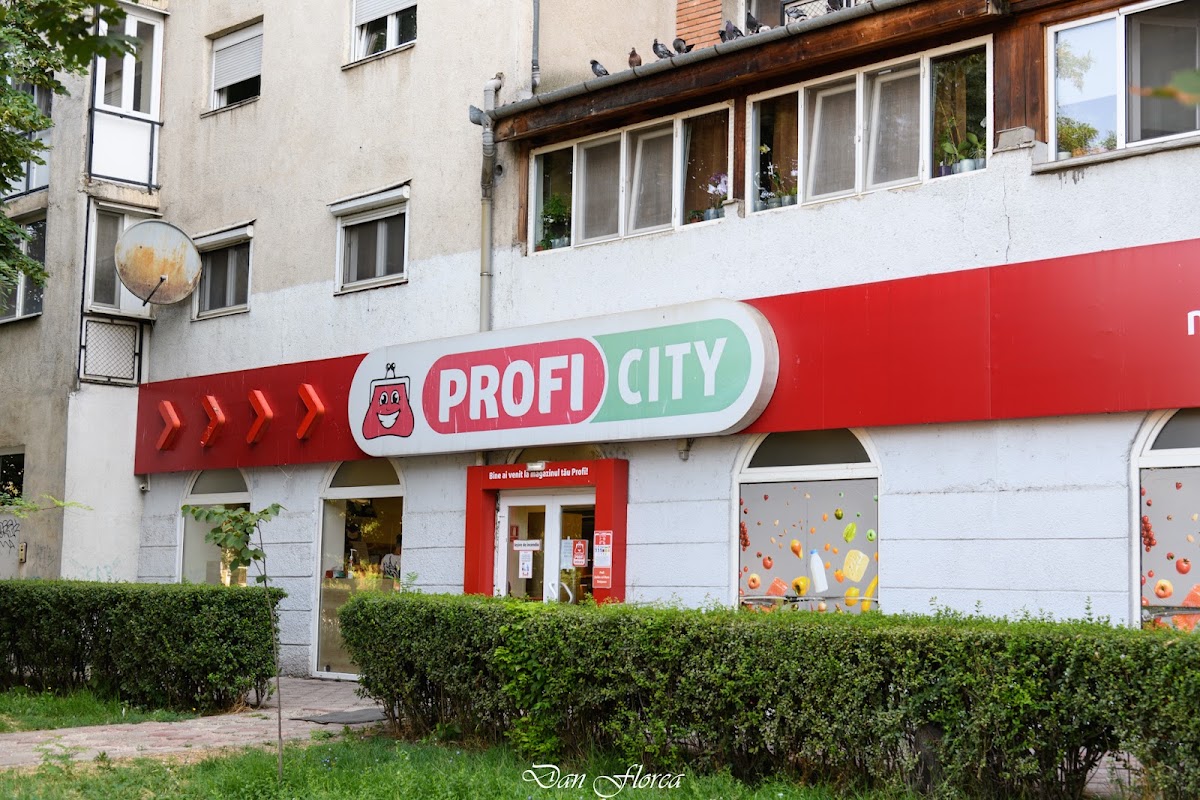Fotografie cu Profi City