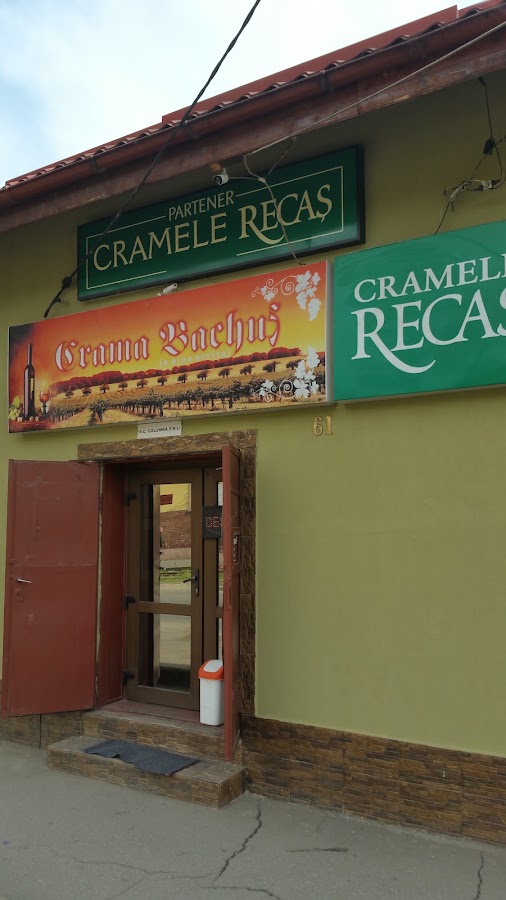 Photo de Crama BACHUS