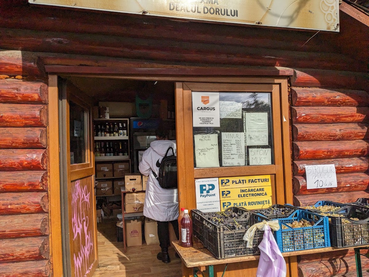 Foto von Crama Dealul Dorului Fructus