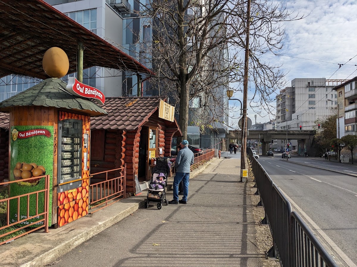 Foto von Crama Dealul Dorului Fructus