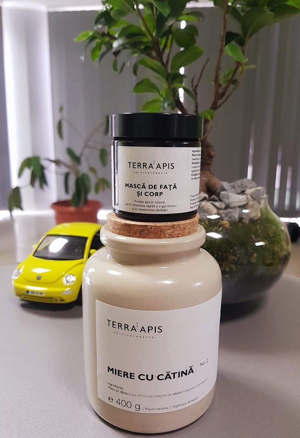 Photo de TERRA:APIS