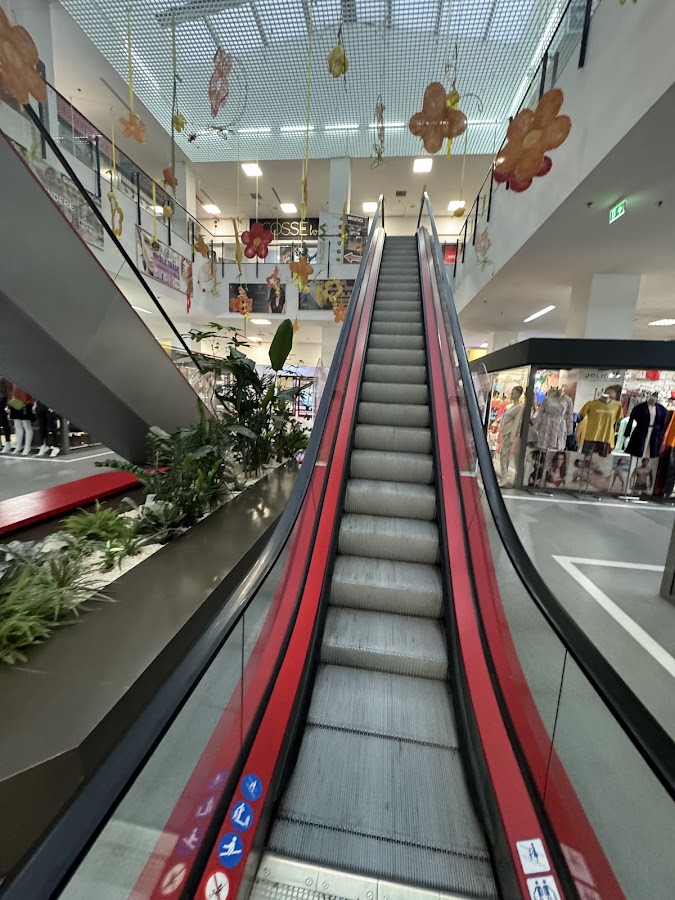 Photo of GALERIA 1