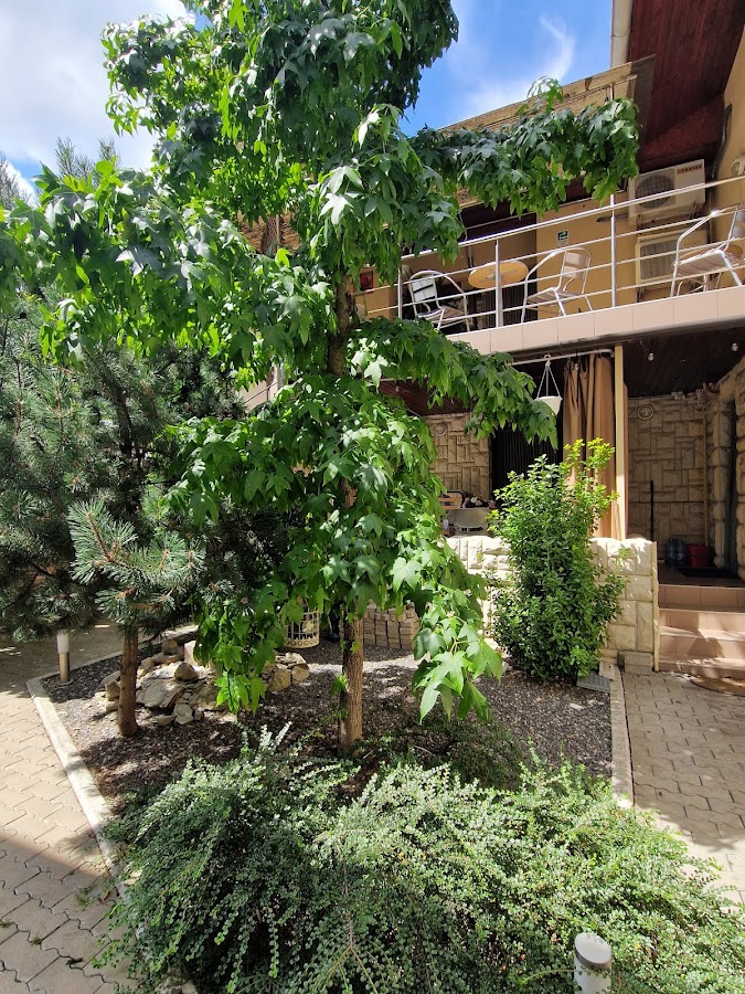 Foto di Vila Sara