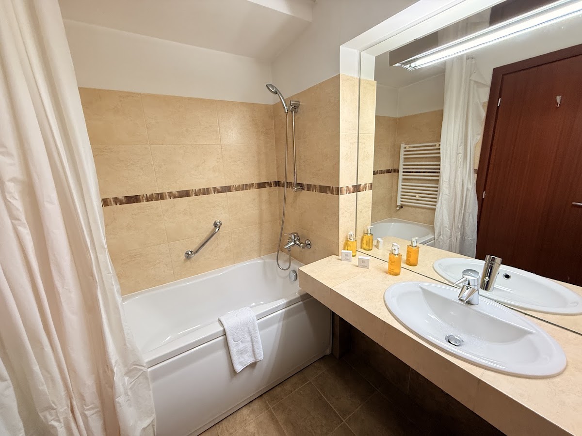 Fotografie de Hotel Timișoara