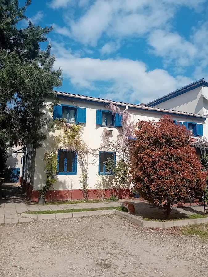 Photo of Pension Giulia