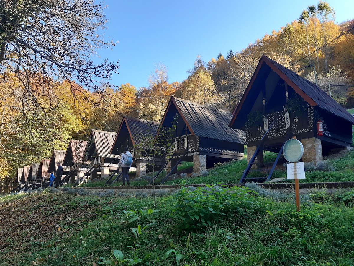 Fotografie de Complexul Turistic Valea lui Liman