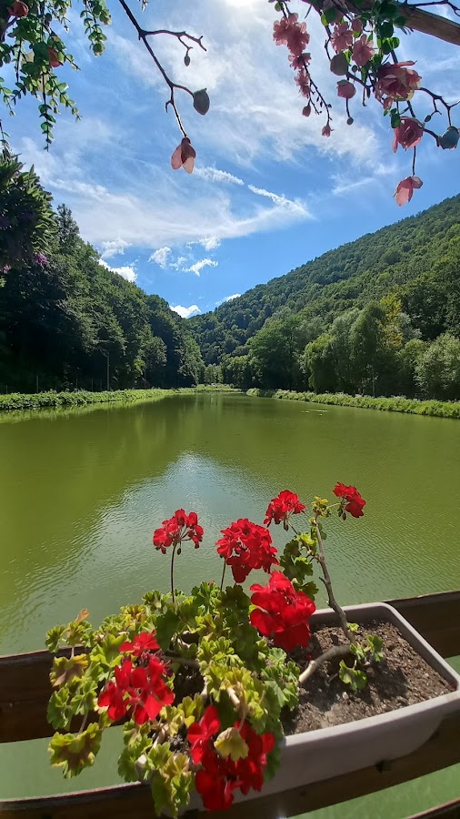 Fotografie de Complexul Turistic Valea lui Liman