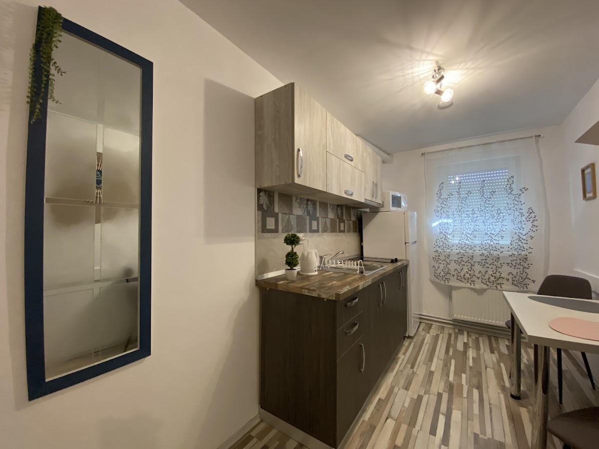 Foto di Urseni Studio Apartments