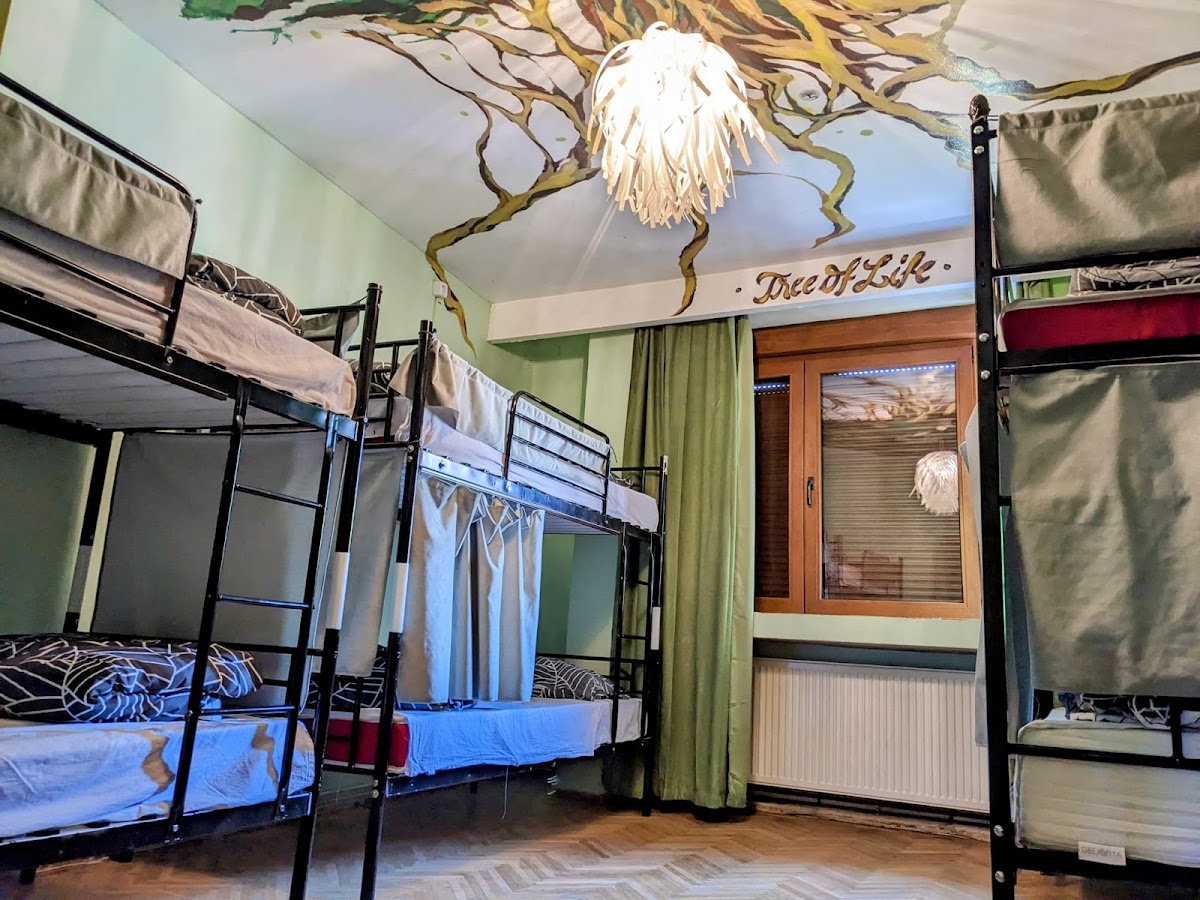 Fotografie de Re-Born Hostel