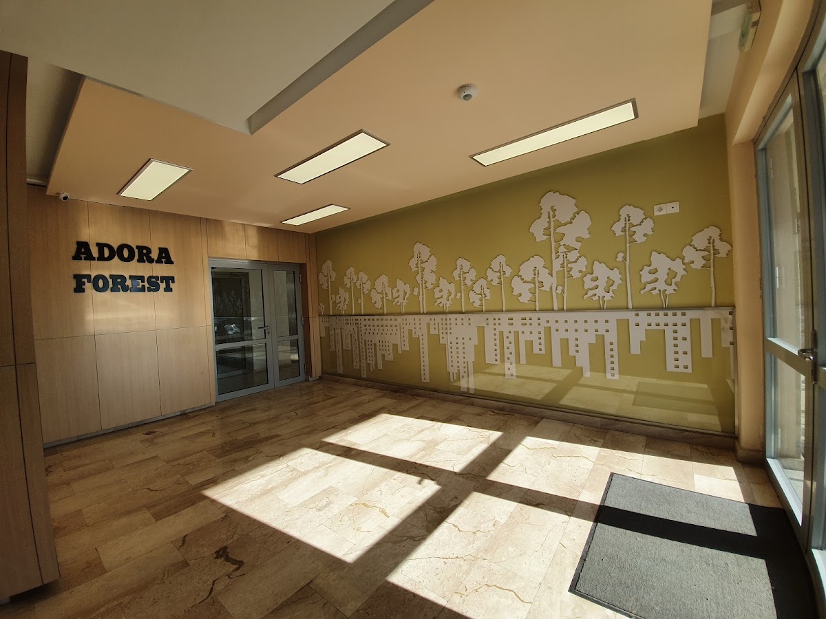 Photo of Adora Forest