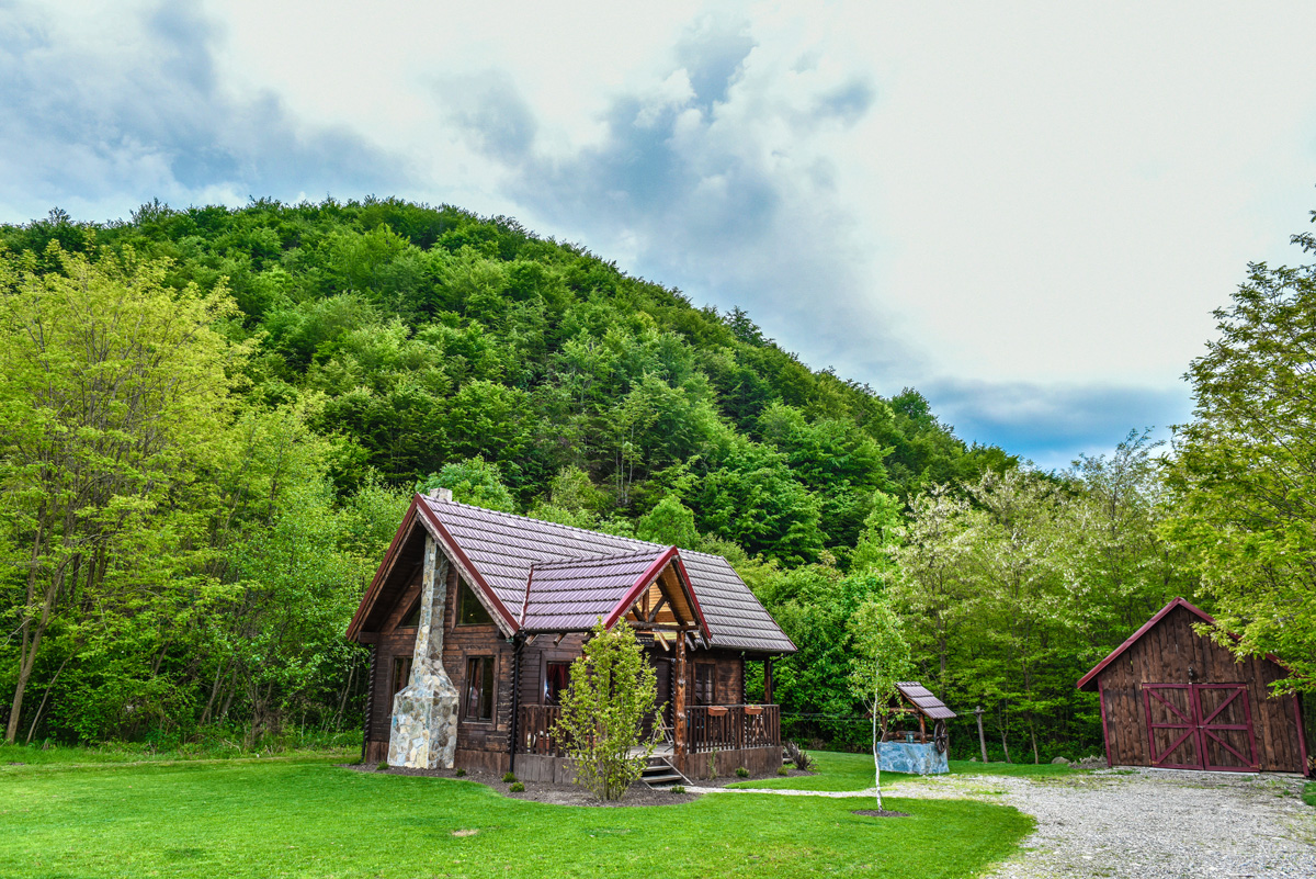 Fotografie de The Little Mountain Cabin