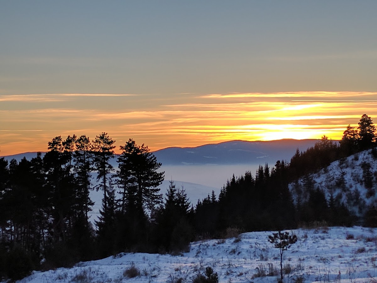 Fotografie de The Little Mountain Cabin