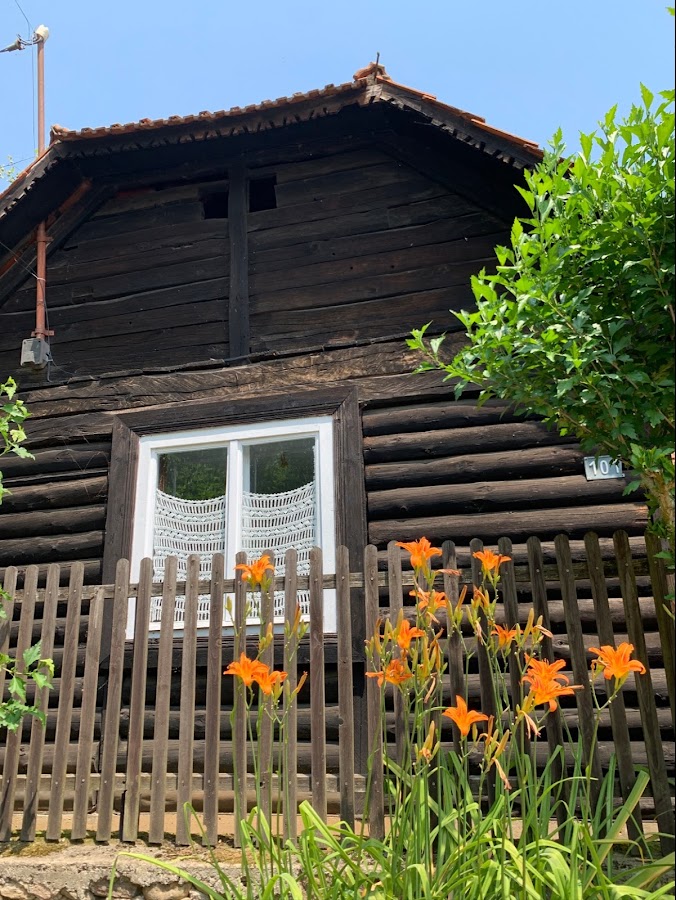 Fotografie de Cabana Bega