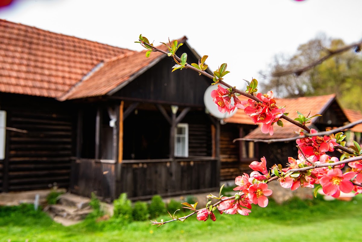 Fotografie de Cabana Bega