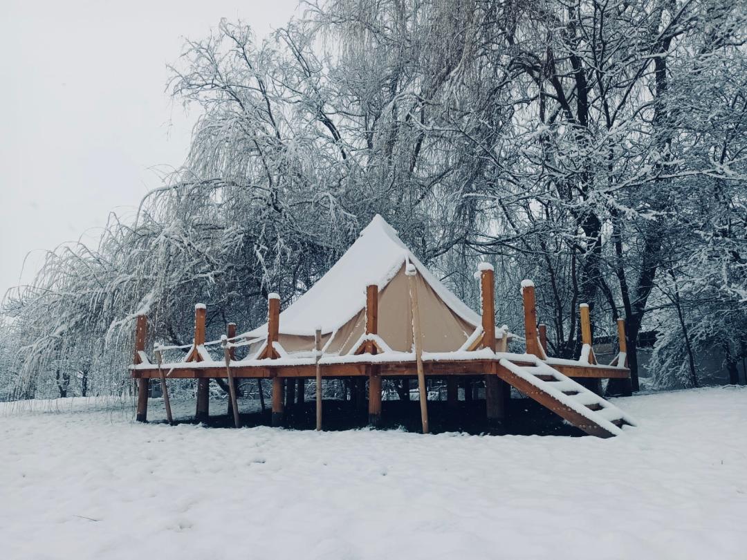 Fotografie de SC WINE ROAD GLAMPING SRL