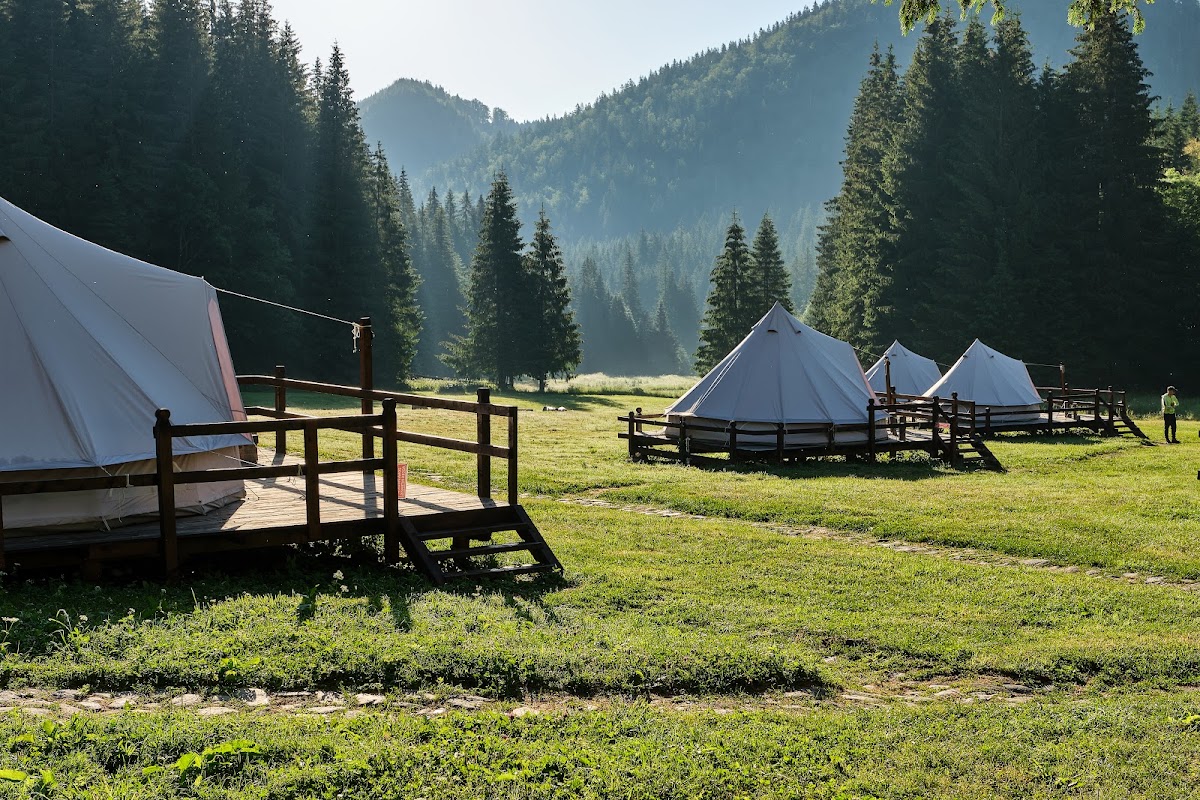 Photo of Camping Valea Iarului