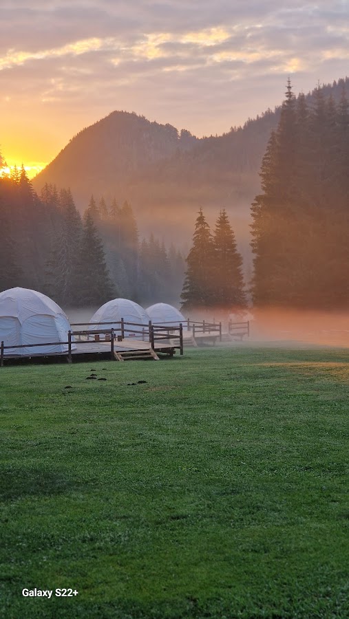 Photo of Camping Valea Iarului