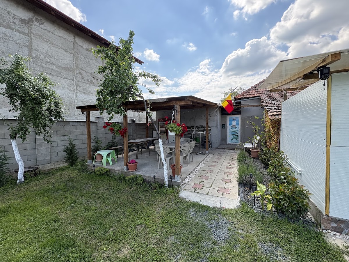 Photo of Camping Veverița Buziaș