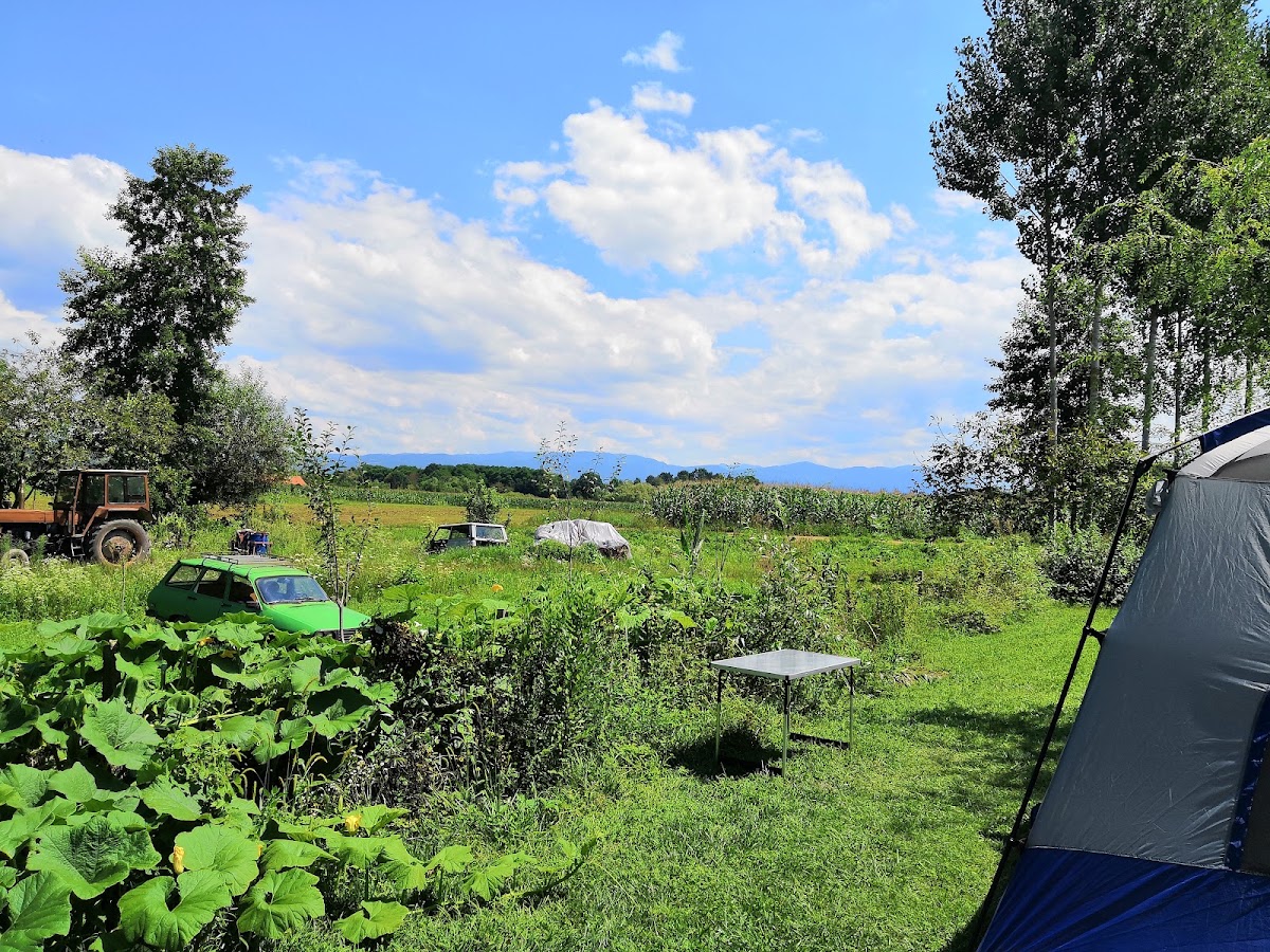 Foto von Camping Turul