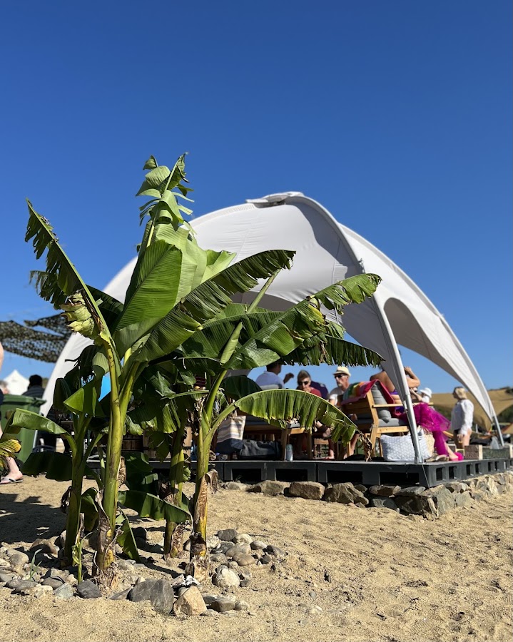 Photo of Moby Dick - Camping Park
