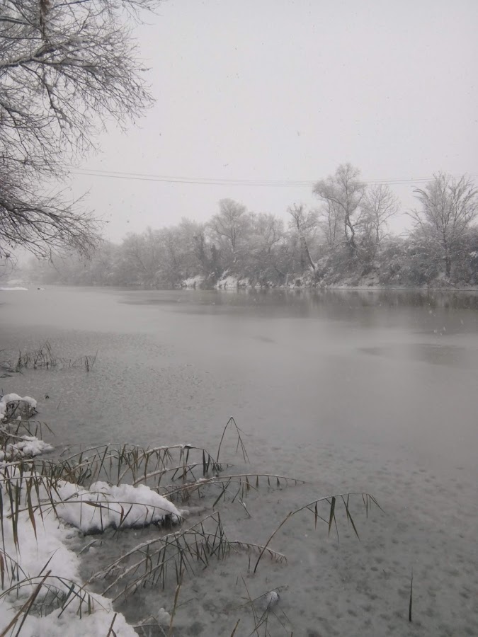 Foto von Camping Albina