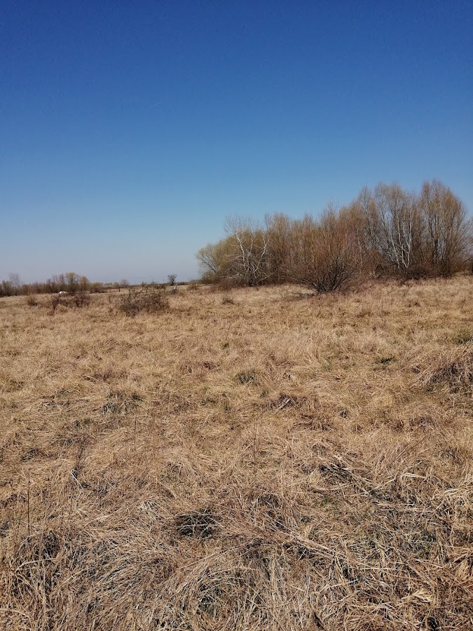 Foto von Camping Albina