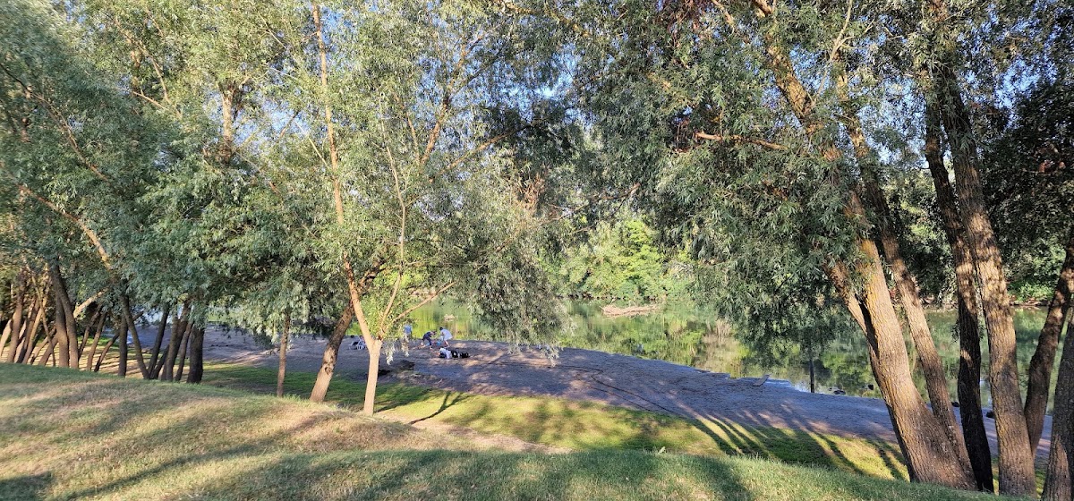 Foto von Camping Albina