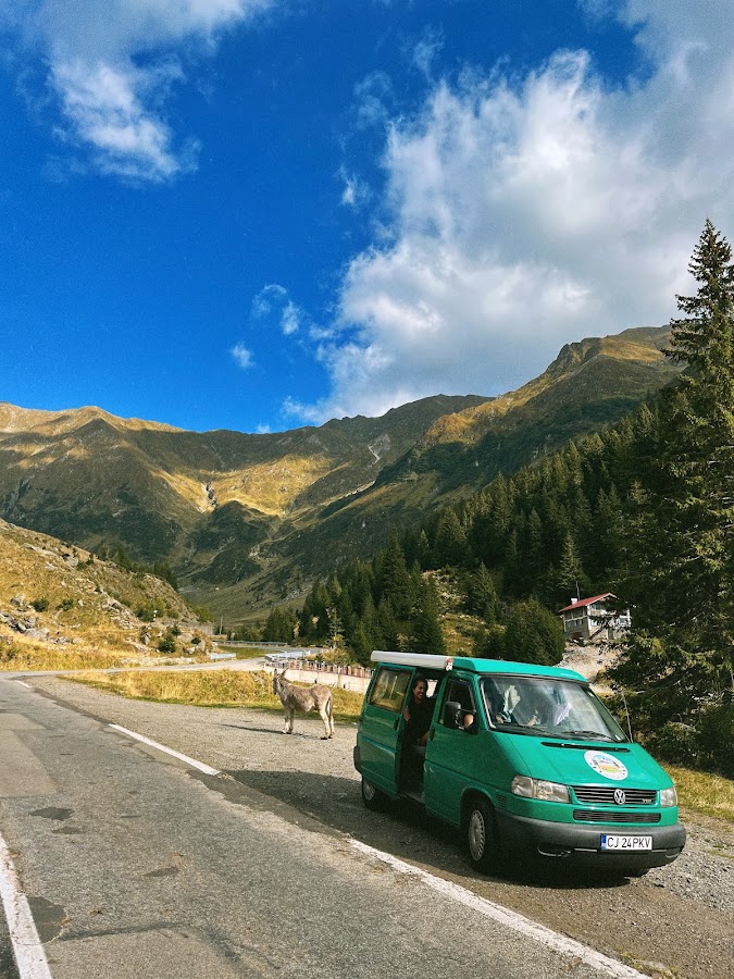 Foto von Camper Adventures Romania