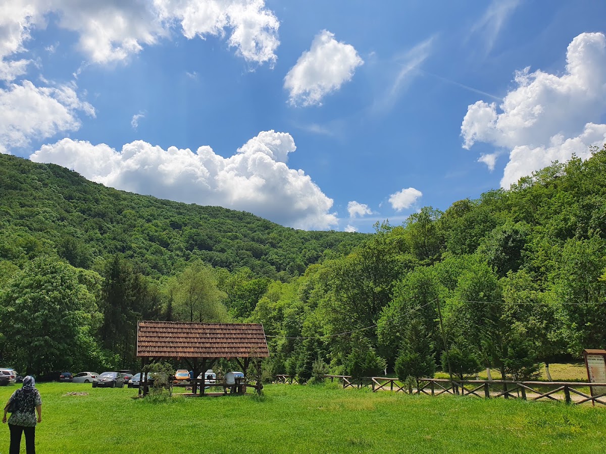 Foto von Camping Pastravaria Bei