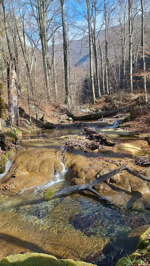 Foto von Camping Pastravaria Bei