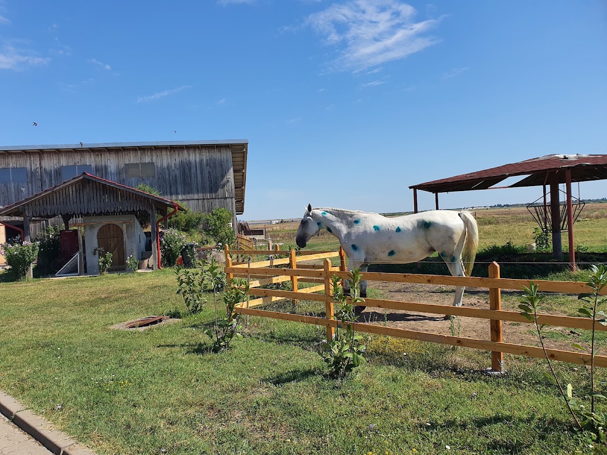 Photo de Ranch Robert
