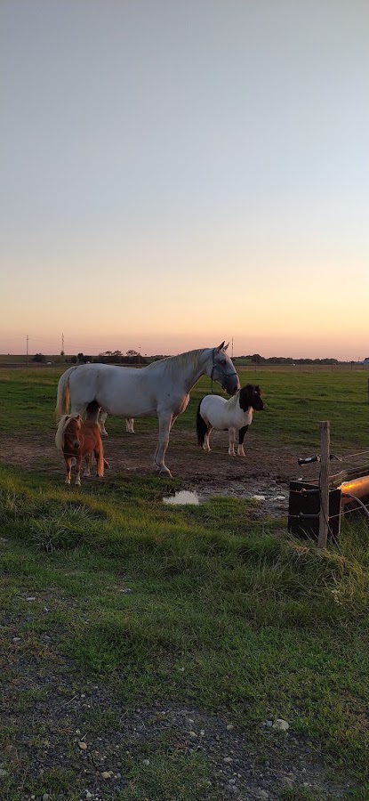 Photo de Ranch Robert