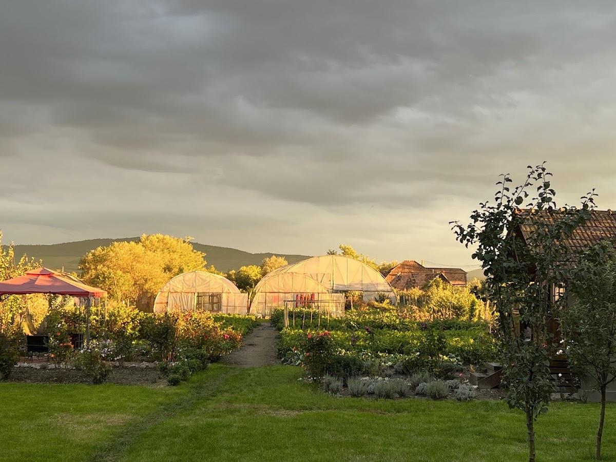 Foto von Harvest House Transylvania