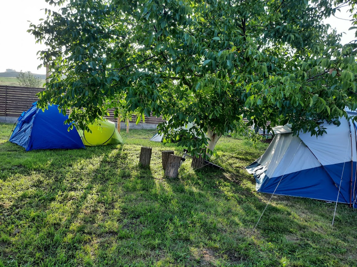 Foto von Pensiunea Casa Murani