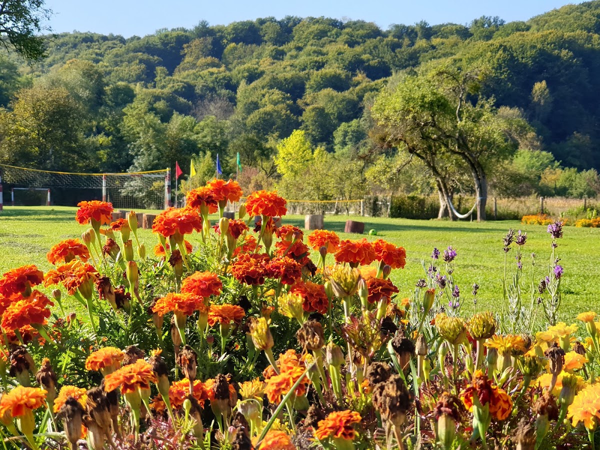 Foto von Casutele din Grosi