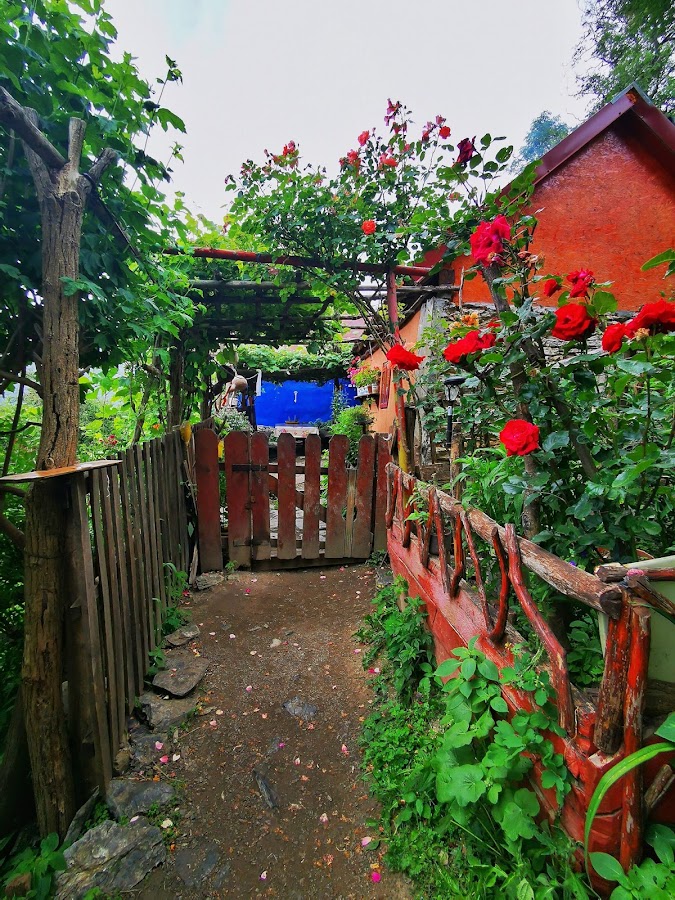 Foto von Haus Avrămică