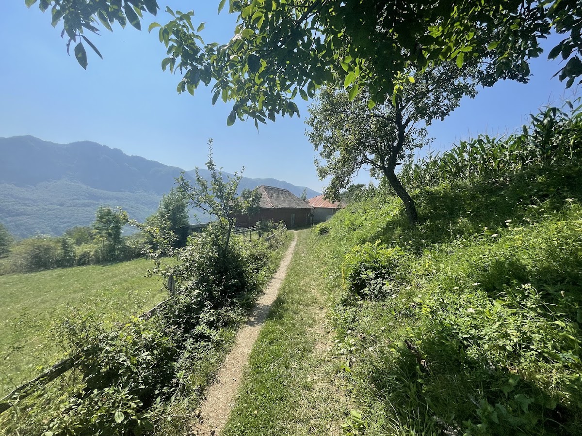 Foto von Casa Avrămică