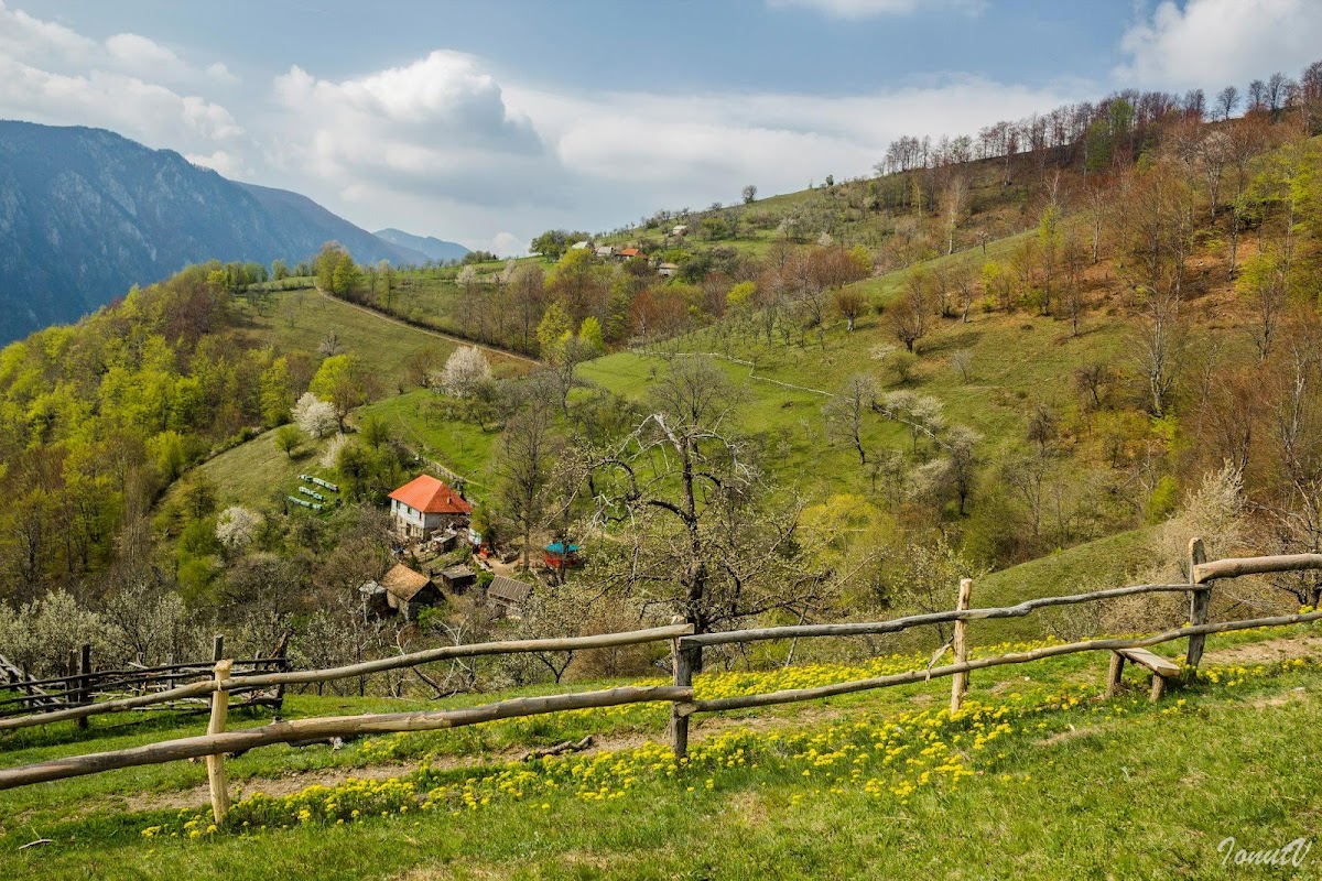 Foto von Casa Avrămică