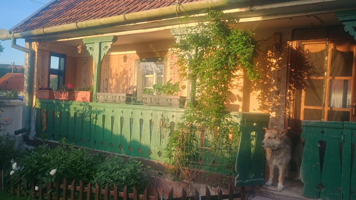 Foto von Stanciova 129